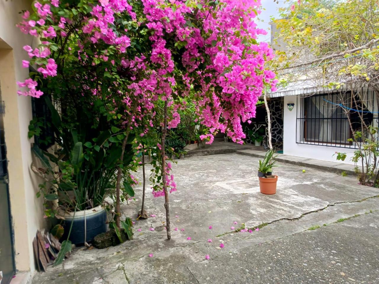 Posada Familiar Papantla Papantla de Olarte Exterior foto